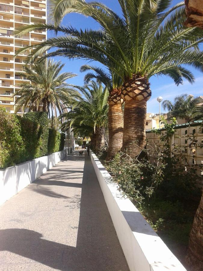 Apartamento Puigval ภายนอก รูปภาพ